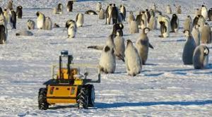 Meet the robot keeping an eye on emperor penguins in Antarctica 1 Meet the robot keeping an eye on emperor penguins in Antarctica 1
