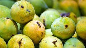 Summer Essential: 5 Reasons Why the Age-Old Tradition of Soaking Mangoes in Water Is a Must!