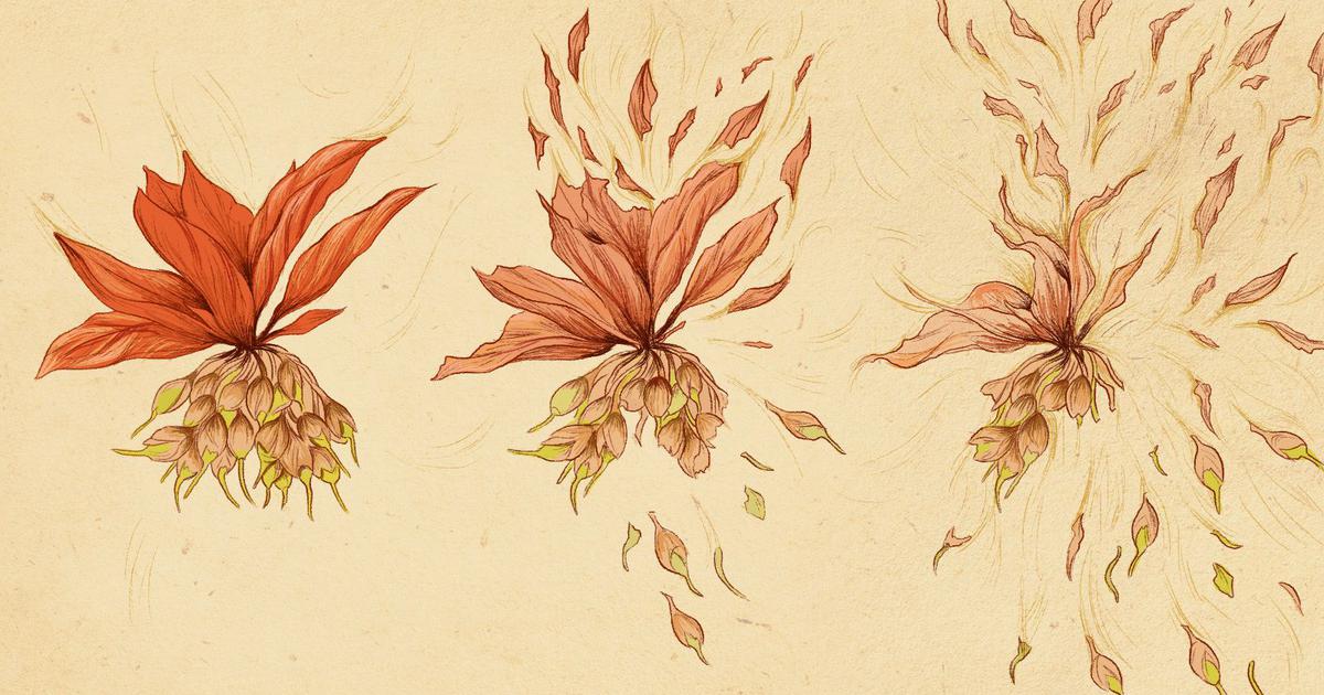 Battered by climate change, Central India’s forest products are disappearing