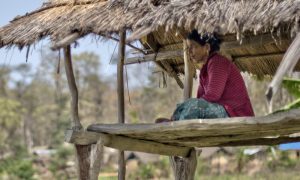 What is human-wildlife conflict and why is it more than just a conservation concern? 1