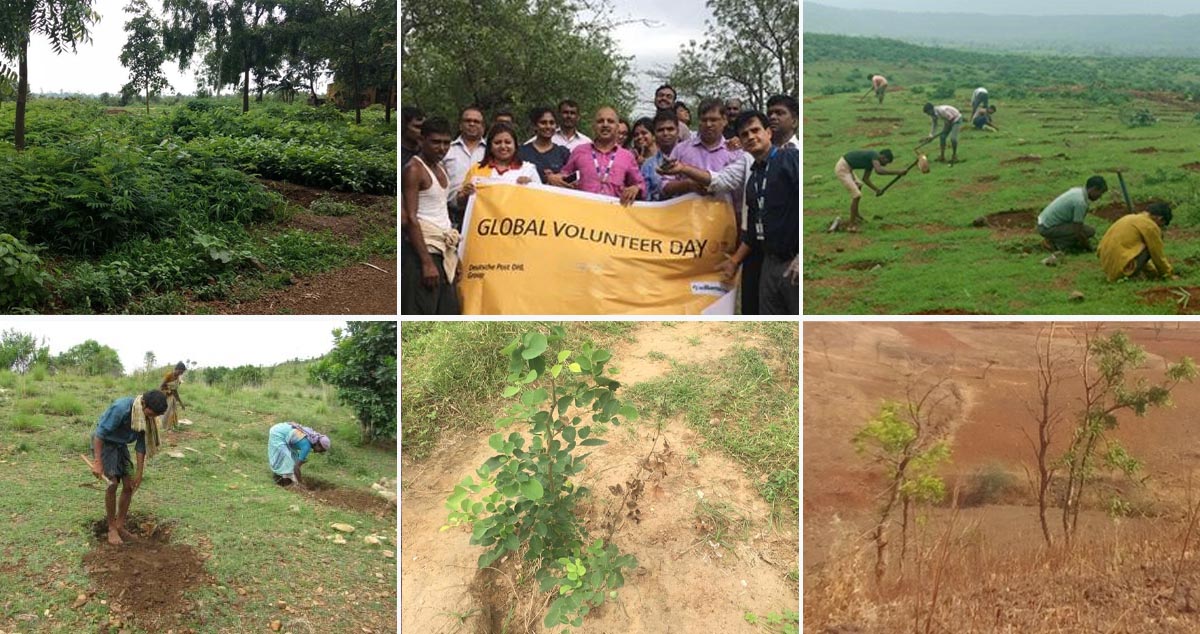 Plants trees in honour of Green Ambassadors Pankaj Tripathi and Kajal Aggarwal