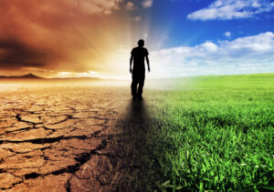 Global Climate Disruption is Profoundly Affecting Life on Earth! 1