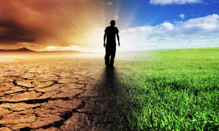 Global Climate Disruption is Profoundly Affecting Life on Earth!