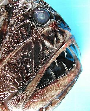 Well… this is the million dollar question.