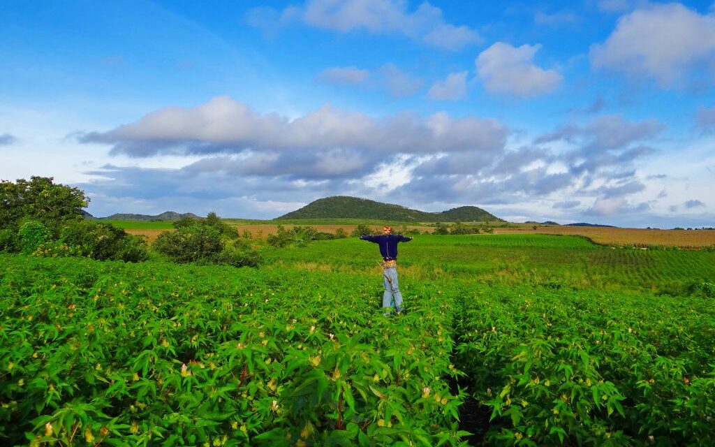 Monetising carbon credits: How Indian farmers can benefit