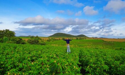 Monetising carbon credits: How Indian farmers can benefit