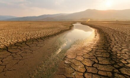 Climate change could devastate Middle East, East Mediterranean, scientists warn