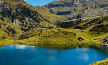Climate Change Could Cause Lakes to Change Colour, Here’s How￼