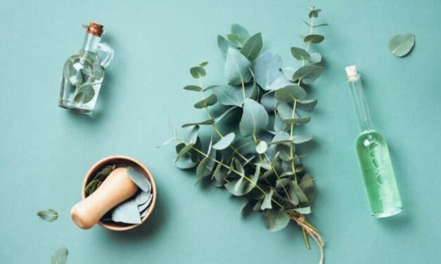 Have you tried naturopathy for overall healing? Know how it can benefit you￼