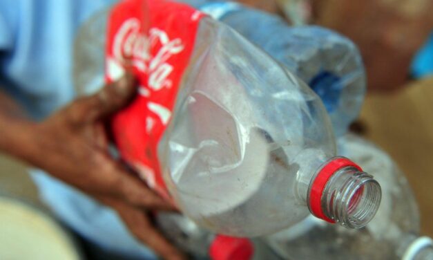 COP27: Activists ‘baffled’ that Coca-Cola will be sponsor