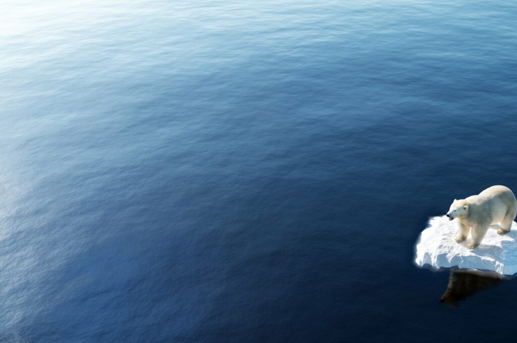 What's happening in climate change negotiations? 1