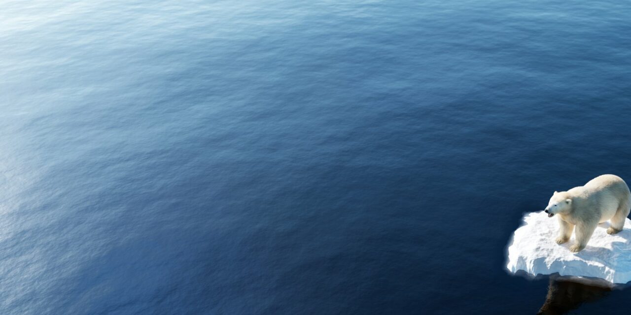 What’s happening in climate change negotiations?