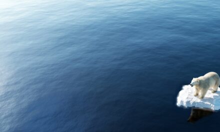 What’s happening in climate change negotiations?