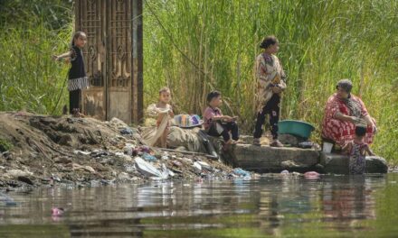 From adaptation to youth: Cop27’s 11 themed days￼