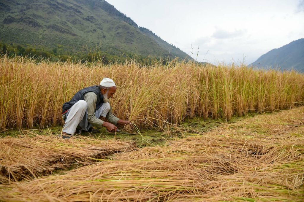 India suffered income loss of $159 billion in key sectors due to extreme heat in 2021: Report￼ 1