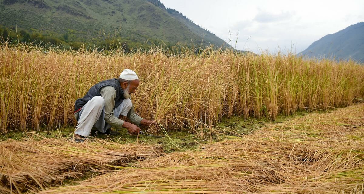India suffered income loss of $159 billion in key sectors due to extreme heat in 2021: Report￼