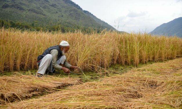 India suffered income loss of $159 billion in key sectors due to extreme heat in 2021: Report￼