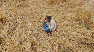 Pricey Parathas, Overpriced Milk Cakes: Climate Change’s Diwali Gifts To India