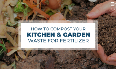 How to Compost your Kitchen and Garden Waste for Fertili