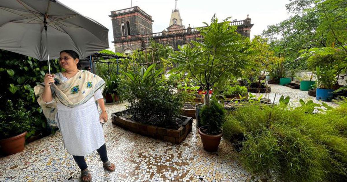 How rooftop gardens can potentially reduce the burden on India’s traditional food system