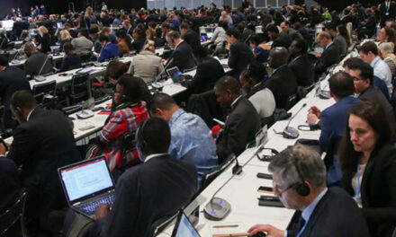 Analysis: How delegations at COP climate summits have changed over time