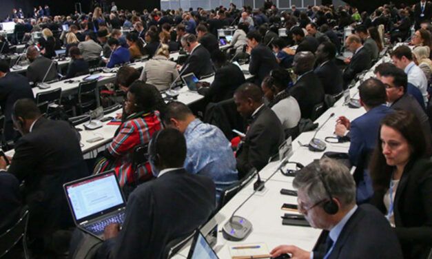 Analysis: How delegations at COP climate summits have changed over time