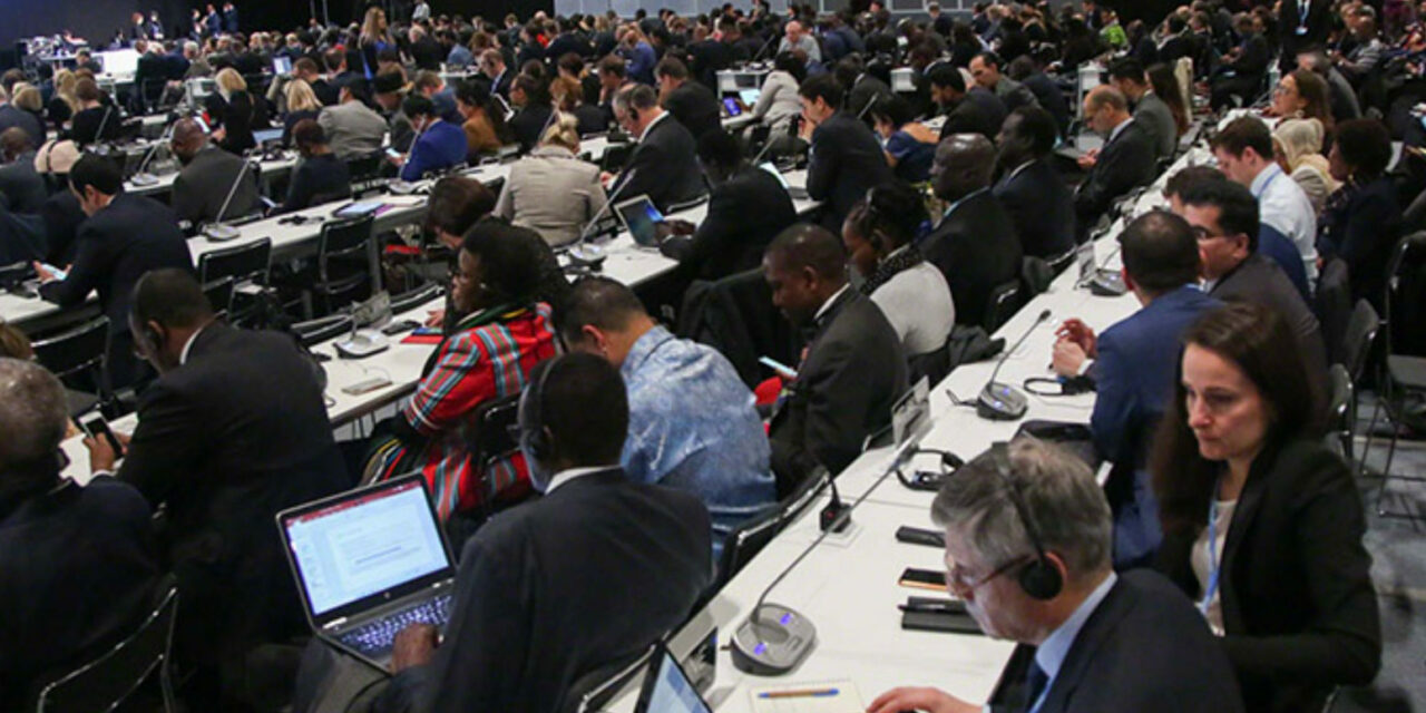 Analysis: How delegations at COP climate summits have changed over time