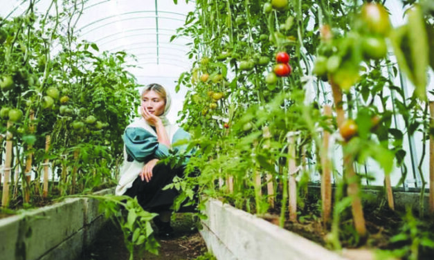 The right way to adapt to organic farming￼