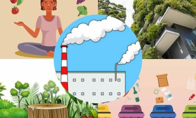 Five sustainable ways to care for the environment￼