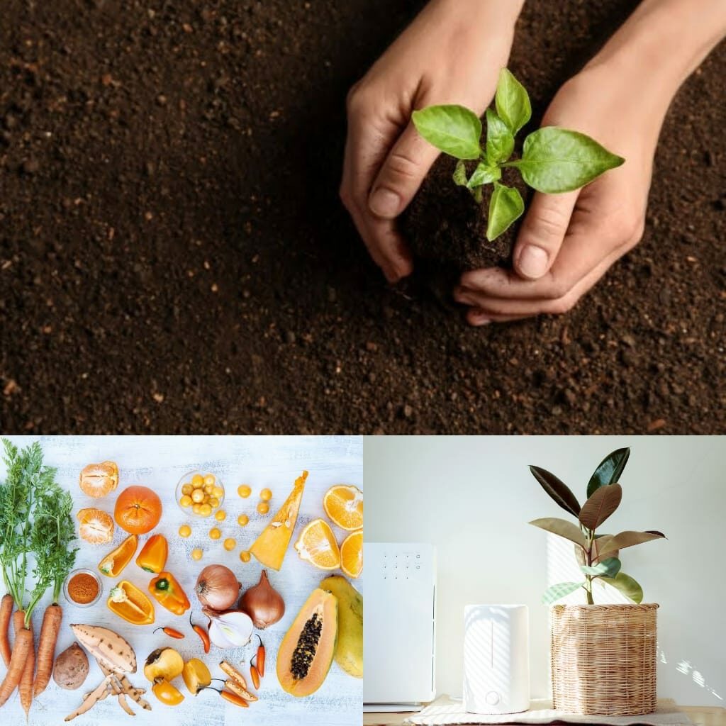 This is how you can combat the post Diwali pollution 1 This is how you can combat the post Diwali pollution 1