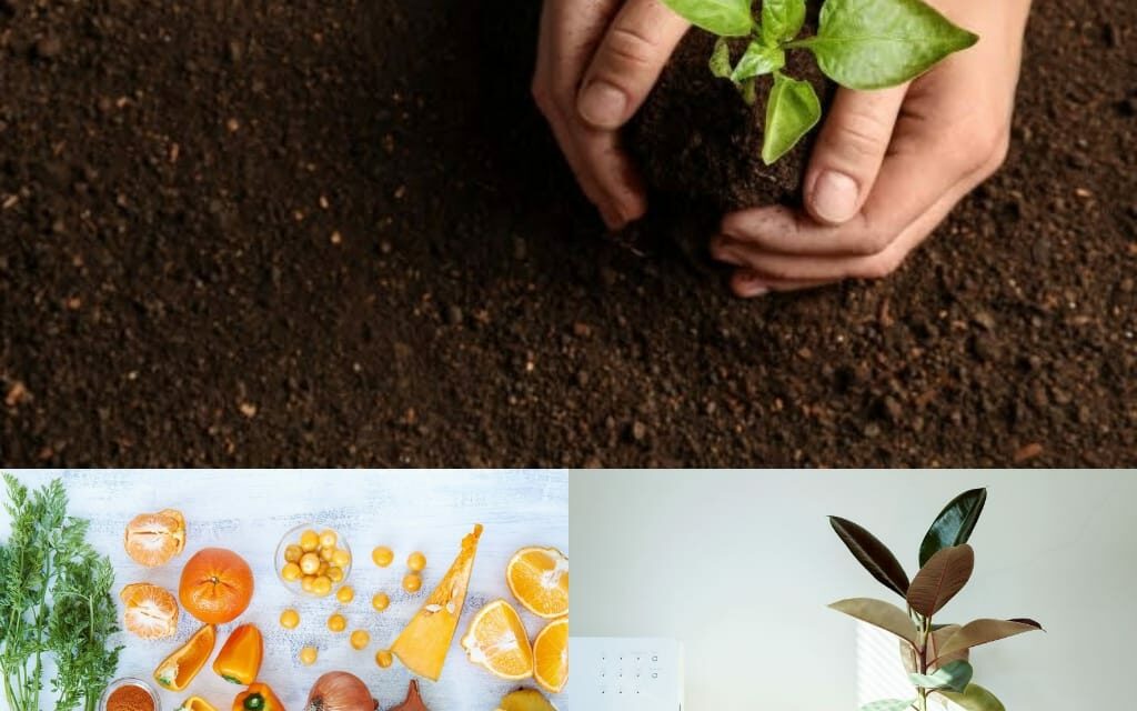 This is how you can combat the post Diwali pollution￼