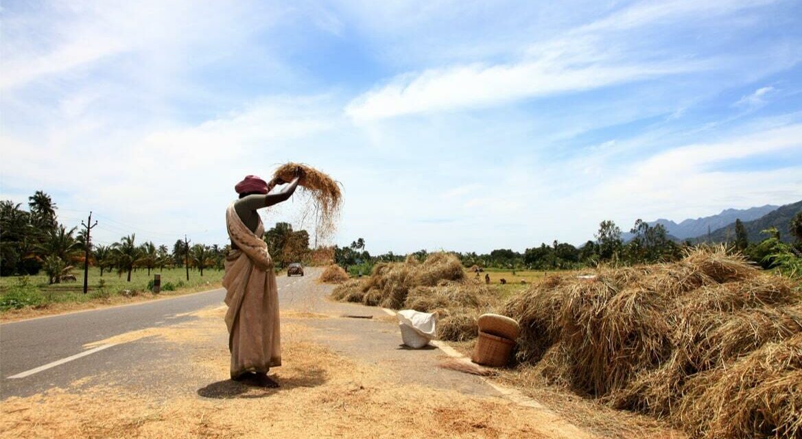 CLIMATE CHANGE POSES THE BIGGEST RISK TO FOOD SECURITY IN INDIA