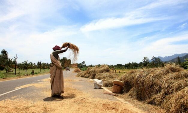 CLIMATE CHANGE POSES THE BIGGEST RISK TO FOOD SECURITY IN INDIA