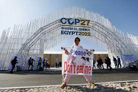 U.N. climate summit turns awkward for Egypt