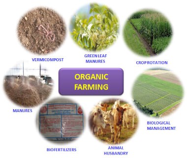 Organic Farming, Bio-Fertilizers and Their Use in Agriculture