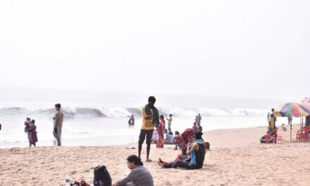 Odisha’s Puri Beach Covered With Pink Flowers As Winter Approaches, IFS Officer Shares Pics