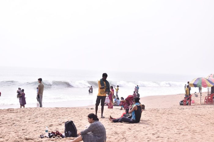 Odisha’s Puri Beach Covered With Pink Flowers As Winter Approaches, IFS Officer Shares Pics
