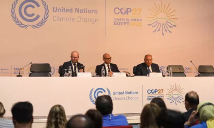 What did COP27 accomplish and what actions can we expect as a result?