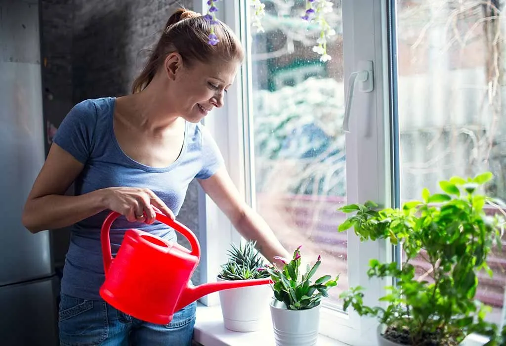 10 Lucky Plants that Bring Wealth, Health, and Love to Your Home￼ 1