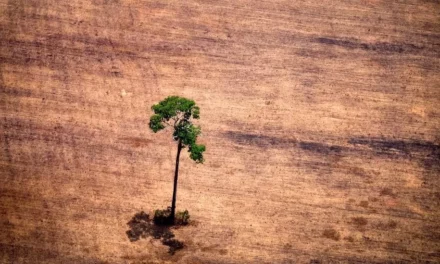 Reverse nature’s decline or there is no future – UN