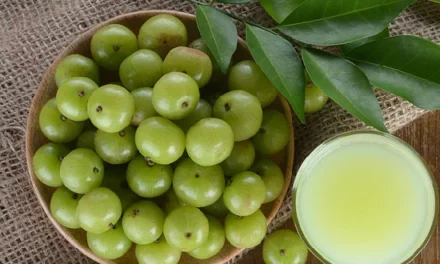 Amla Health Benefits: From Healthy Liver To Hair Growth, 4 Notable Benefits Of Indian Gooseberry
