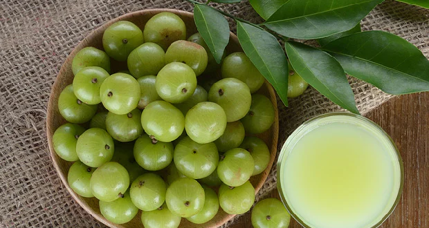 Amla Health Benefits: From Healthy Liver To Hair Growth, 4 Notable Benefits Of Indian Gooseberry