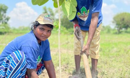 Can afforestation help cleanse the world’s most polluted city?