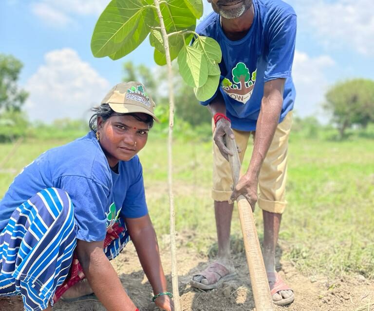 Can afforestation help cleanse the world’s most polluted city?
