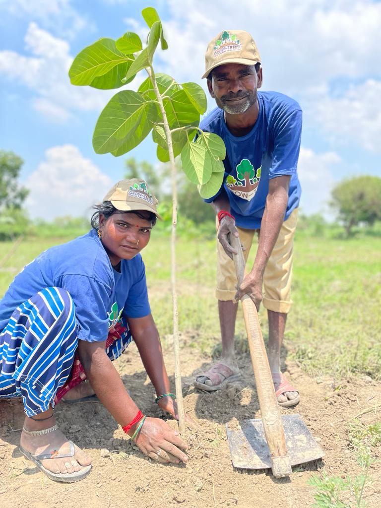 Can afforestation help cleanse the world's most polluted city? 1