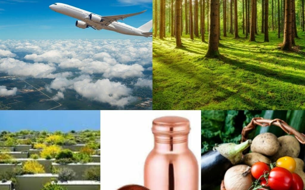 <strong>Five lifestyle practices that can help us reduce our carbon footprint</strong>