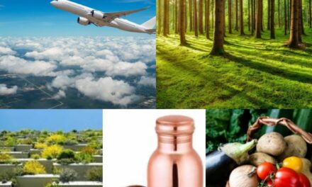 <strong>Five lifestyle practices that can help us reduce our carbon footprint</strong>