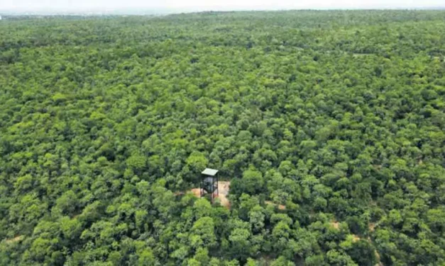 Telangana records second highest forest cover increase in India￼