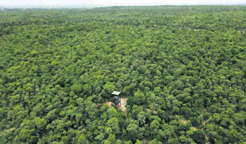 Telangana records second highest forest cover increase in India 1 Telangana records second highest forest cover increase in India 1