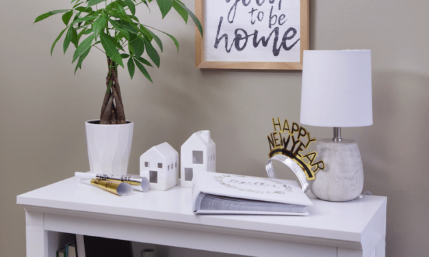 5 Fascinating Facts About The Money Tree Plant